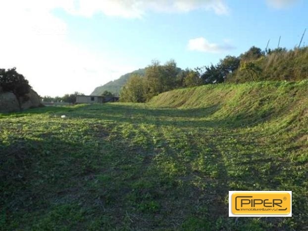 Stabile intero - Palazzo POZZUOLI vendita  Pozzuoli Alta  Piper immobiliare&servizi