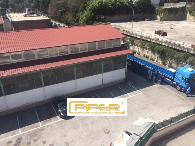  napoli affitto quart: agnano piper-immobiliare&servizi