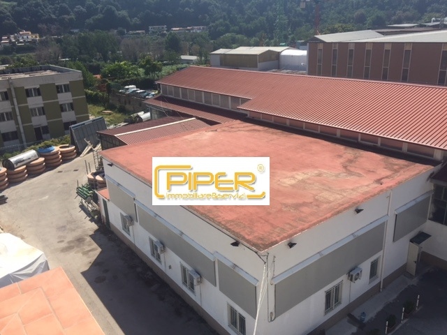 Capannone Commerciale NAPOLI affitto  Agnano  Piper immobiliare&servizi
