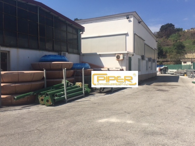 Capannone Commerciale NAPOLI affitto  Agnano  Piper immobiliare&servizi