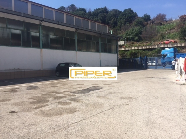 Capannone Commerciale NAPOLI affitto  Agnano  Piper immobiliare&servizi