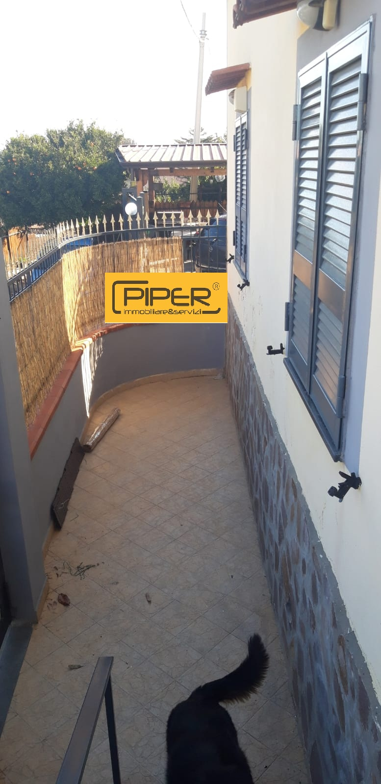 Appartamento POZZUOLI affitto  Arco Felice Vecchio/Scalandrone  Piper immobiliare&servizi