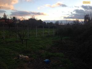 Terreno agricolo in vendita a Monterusciello, Pozzuoli (NA)