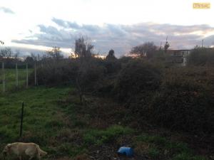 Terreno agricolo in vendita a Monterusciello, Pozzuoli (NA)