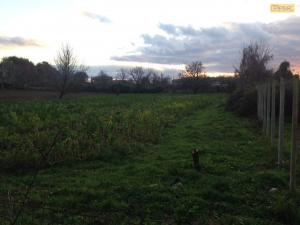 Terreno agricolo in vendita a Monterusciello, Pozzuoli (NA)