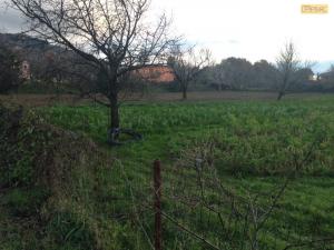 Terreno agricolo in vendita a Monterusciello, Pozzuoli (NA)