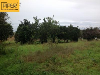 Terreno agricolo in vendita a Bacoli (NA)