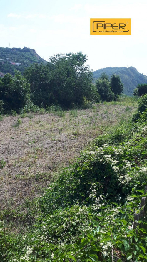 Terreno agricolo in vendita a Monterusciello, Pozzuoli (NA)