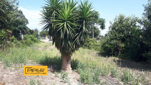 Terreno agricolo in vendita a Monterusciello, Pozzuoli (NA)